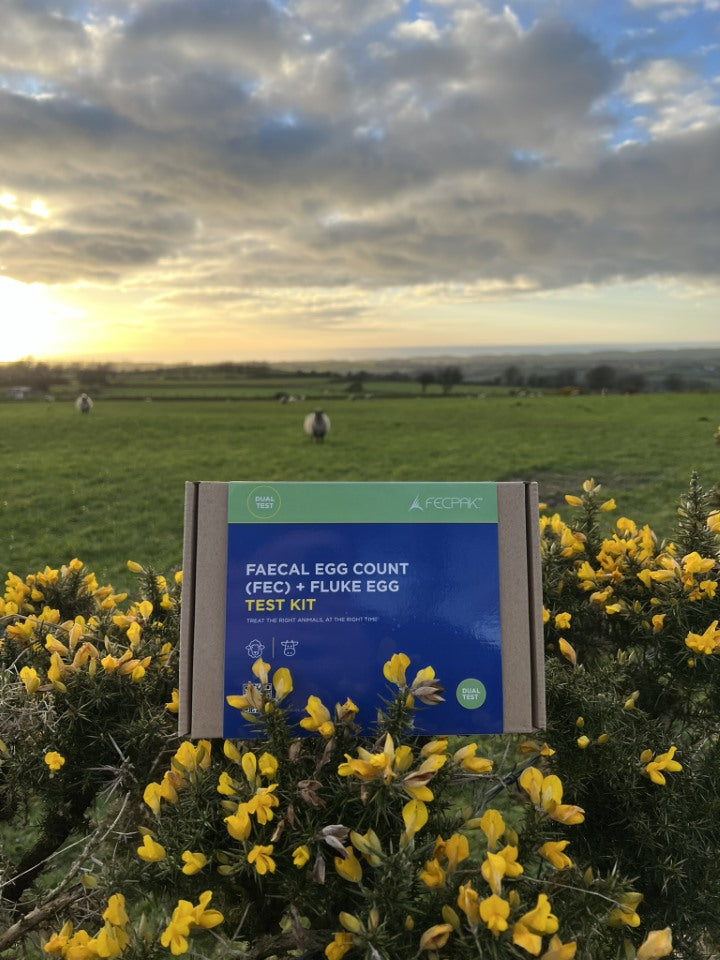 Faecal Egg Count (FEC) + Fluke Egg Test Kit